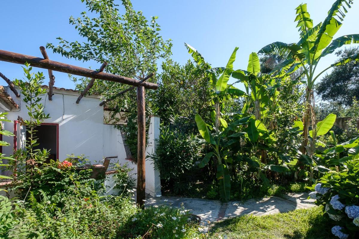 La Rosa Dei Venti Aparthotel Procida Bagian luar foto
