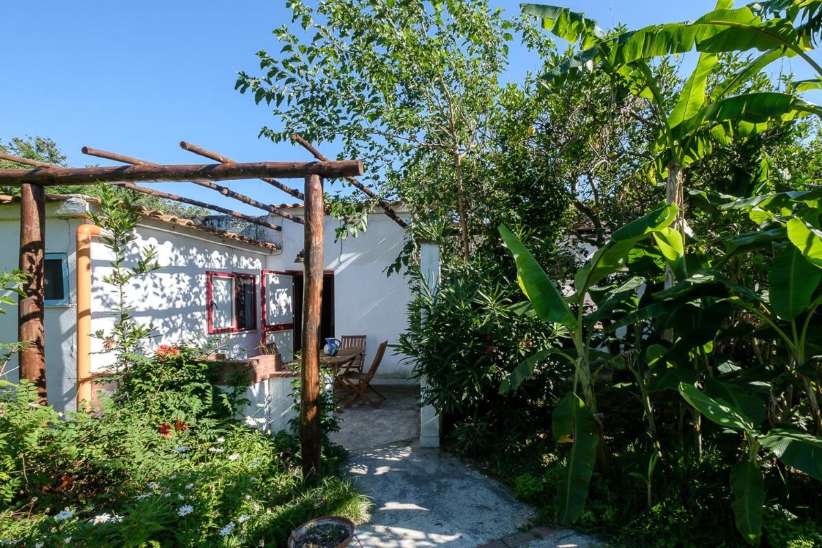 La Rosa Dei Venti Aparthotel Procida Bagian luar foto